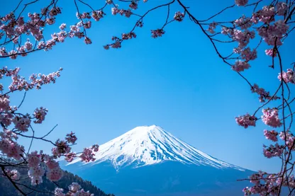 Japanese